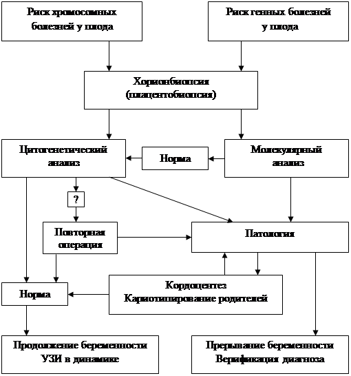 Курсовая работа: Порядок проведения аттестации рабочих мест МУП 