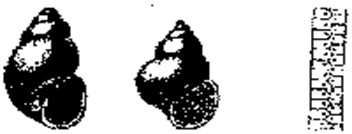 : C:\Users\\Desktop\61.gif