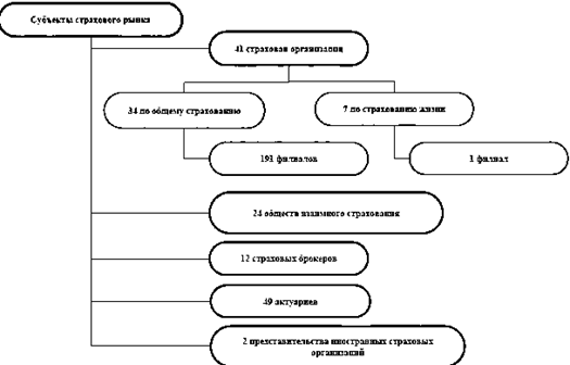 Дипломная работа: Финансовая устойчивость страховой компании