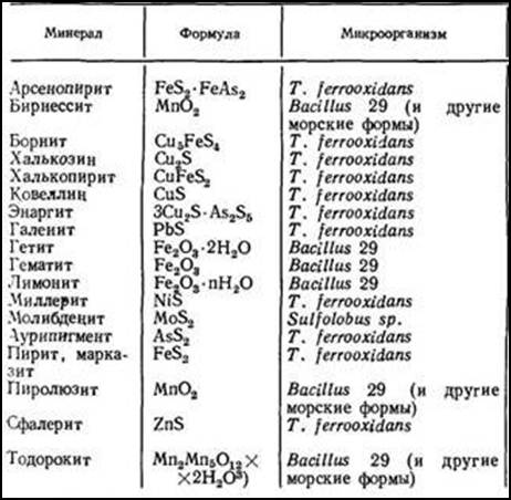 Описание: C:\Documents and Settings\Admin\Рабочий стол\clip_image0026ю.jpg