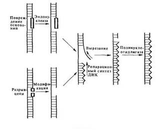 Описание: C:\Documents and Settings\Admin\Рабочий стол\Новая папка\clip_image003.jpg
