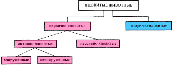 Реферат О Животных