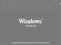 Windows 3.0