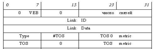 ospf_lsa1