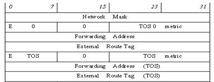 ospf_lsa5