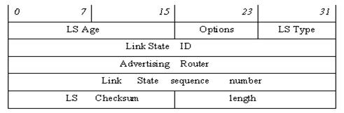 Реферат по теме Конфигурирования программного обеспечения алгоритма OSPF на маршрутизаторе