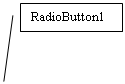 Выноска 2: RadioButton1 