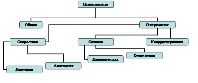 Организационная диаграмма