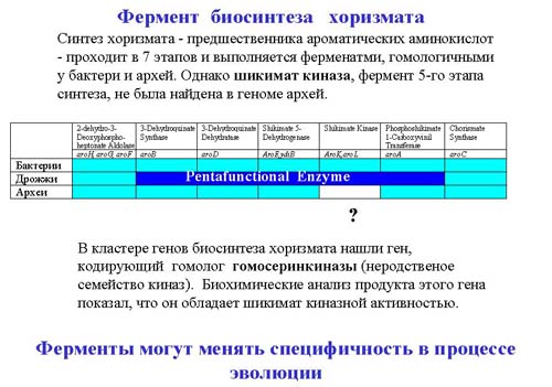 Курсовая работа: Мутации и спирали эволюции