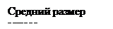 Подпись: Средний размер запаса
